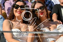 DSC7354