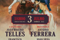 Cartaz_Colete-Encarnado_Media