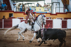 MONFORTE-10-de-27
