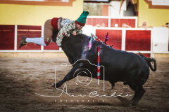 MONFORTE-11-de-27