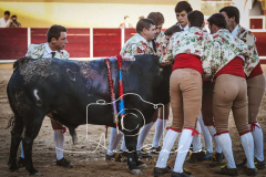 MONFORTE-13-de-27
