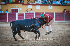 MONFORTE-18-de-27