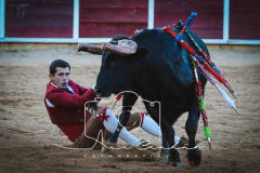 MONFORTE-19-de-27