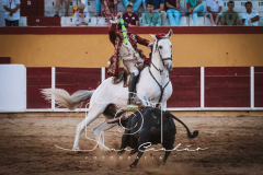 MONFORTE-23-de-27