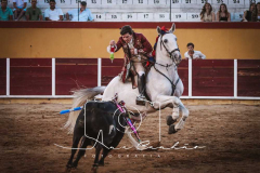 MONFORTE-24-de-27