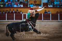 MONFORTE-27-de-27