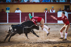 MONFORTE-4-de-27