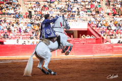 Paco-Velasquez-La-Mexico-5