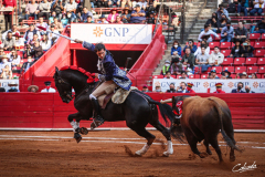 Paco-Velasquez-La-Mexico-7