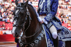 Paco-Velasquez-La-Mexico-8