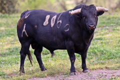 4F464732-05CB-48B1-8766-A5A1B3094DF9