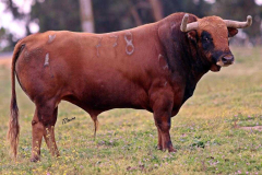 BC392A65-1B34-4ADA-B989-E9BA964DB0A1