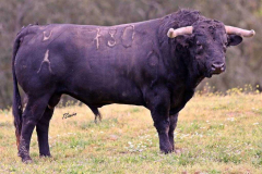 E59ADA64-3771-4709-B169-E08A595D0B65