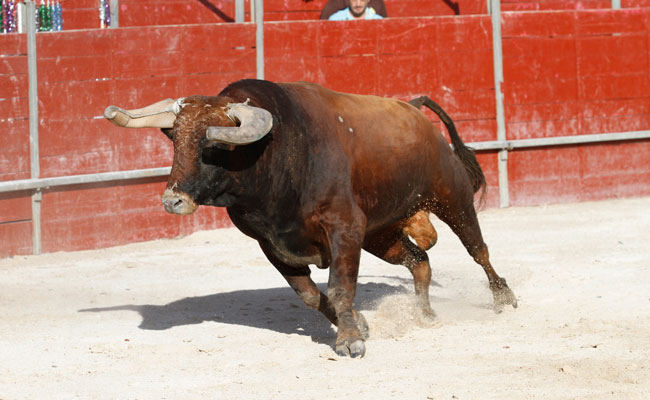 Foz do Sizandro ao som dos ‘Silva’ Sol e Sombra