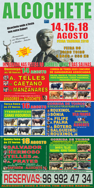 123901-Site-alcocheteAgostoLR