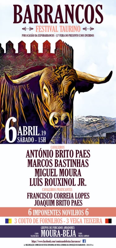 52519421_690104468058530_566291828819623936_n