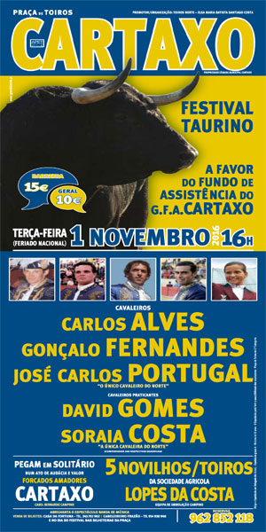 cartaz-festival-novo