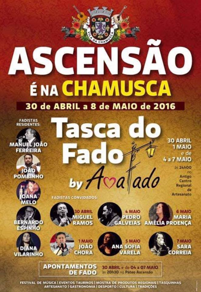 13115819_1174404539247043_1841170445_n