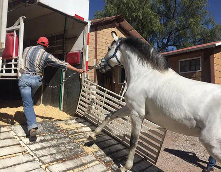 16809787_10203208787578072_348647755_n