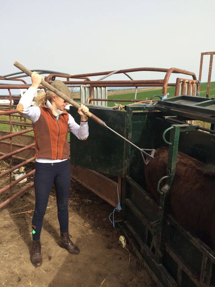 16923987_1194678427296311_48905387_n