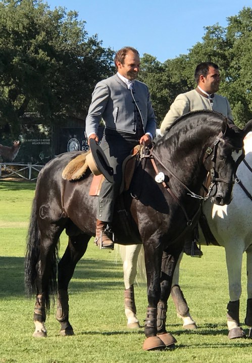 21586396_10210871919929105_1411491401_n