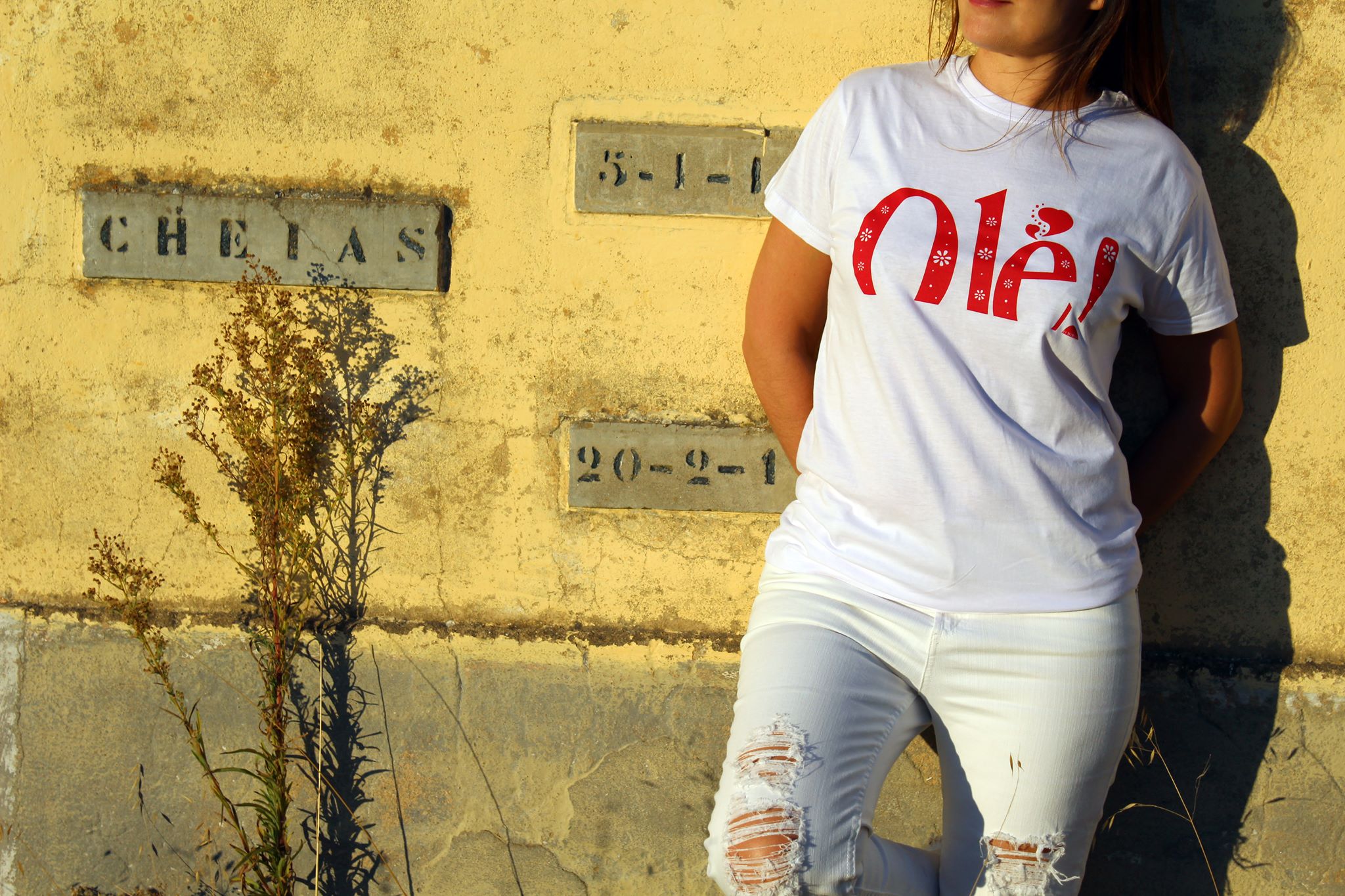 22256579_779226645616680_5671550533149997720_o