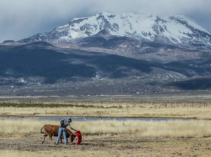 35884249_10212118966073674_662757288209022976_n