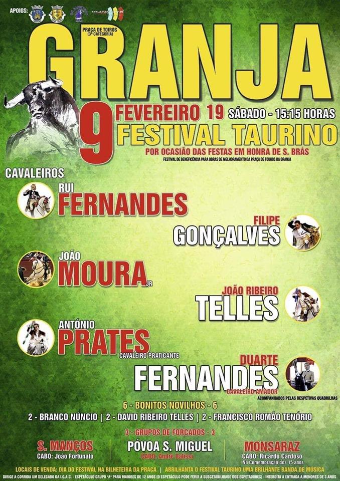 49658143_1794782607295078_6616623039062736896_n